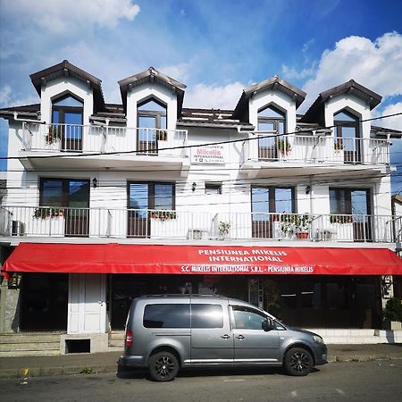 Hotel Pensiunea Mikelis International Curtea de Argeş Zewnętrze zdjęcie