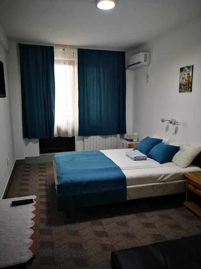 Hotel Pensiunea Mikelis International Curtea de Argeş Zewnętrze zdjęcie