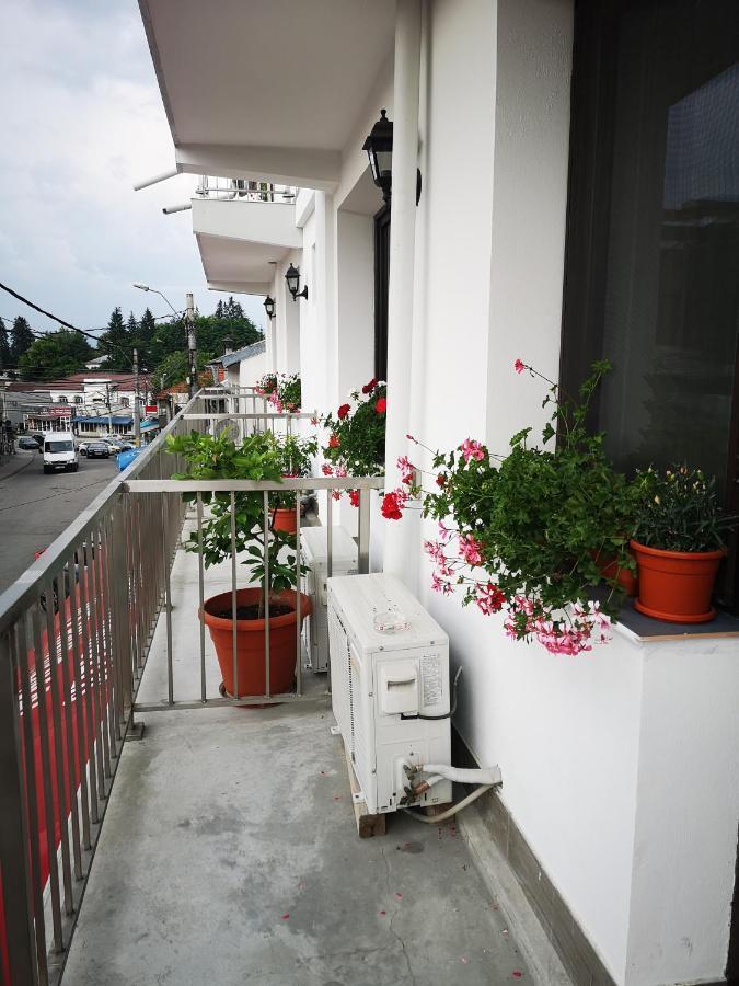 Hotel Pensiunea Mikelis International Curtea de Argeş Zewnętrze zdjęcie
